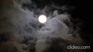 R.I.C (DAILLESTVIDEOS) - Moonlight (VIDEO)