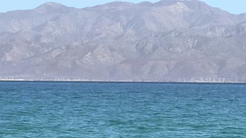 The Big Fraud, HIV, AIDS and Coronovirus