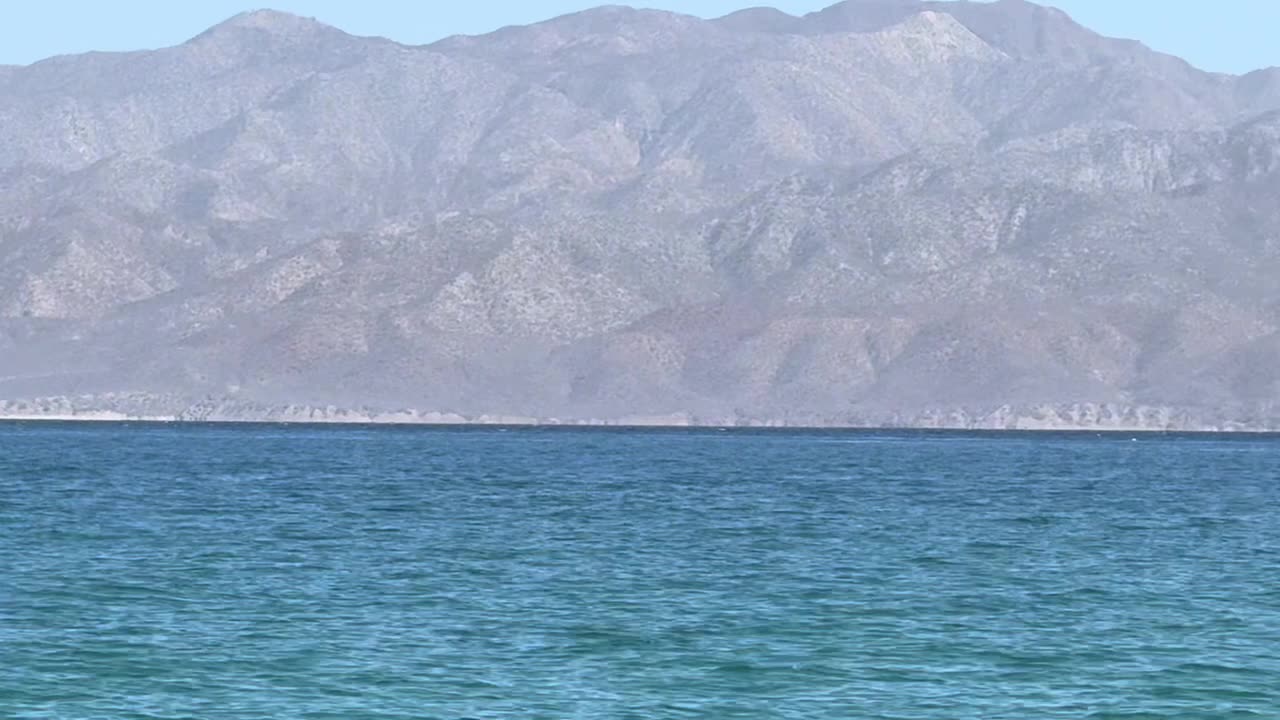 The Big Fraud, HIV, AIDS and Coronovirus