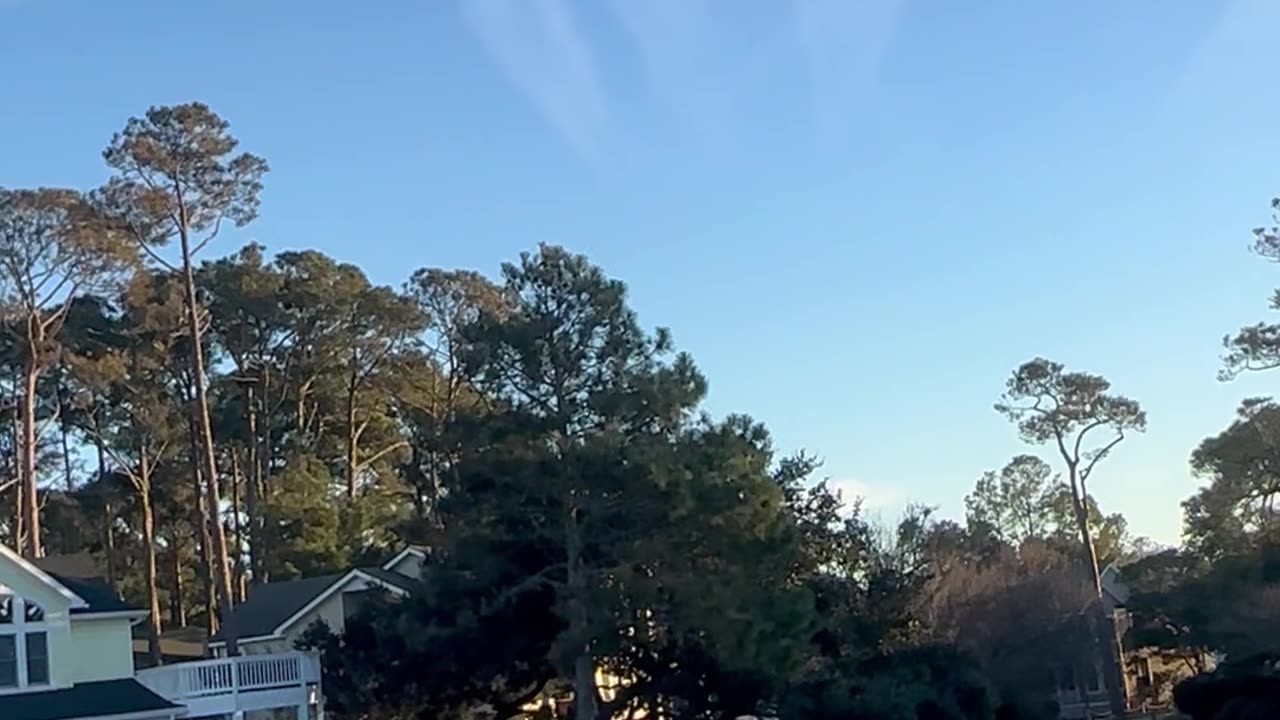 Nobody’s in Charge !