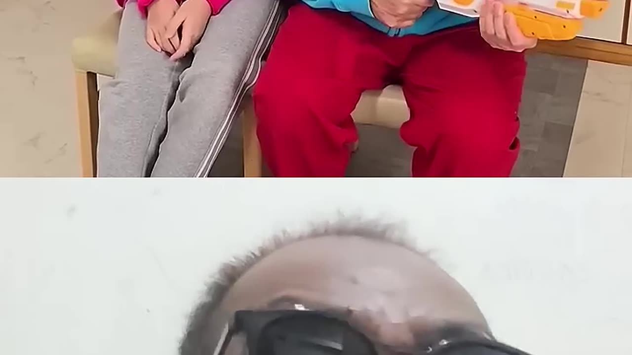 (18). Reaksi Video Viral