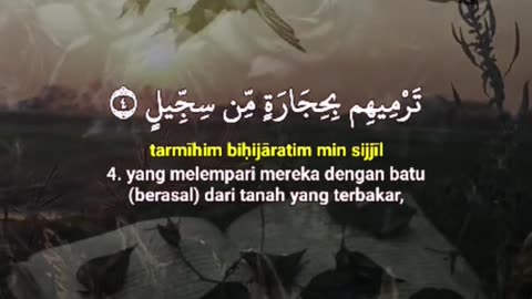 Jazakallah ♥️✨🕊️