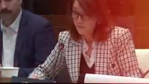 Stellantis BUSTS Liberal cover-up! Officials LIED to MPs, claiming the auto giant demanded redaction