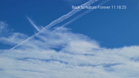 Chemtrials in NYC's skies again?