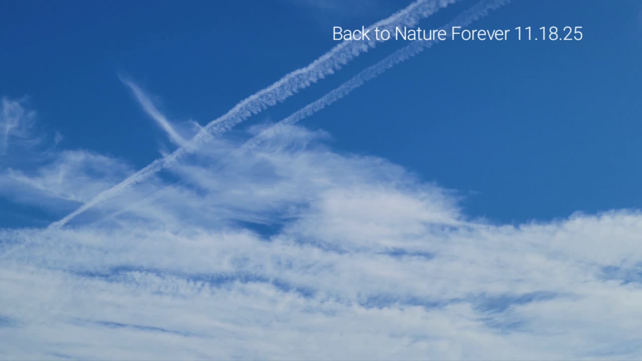 Chemtrials in NYC's skies again?