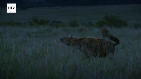 Creatures of the Emerald World