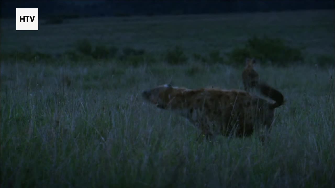 Creatures of the Emerald World