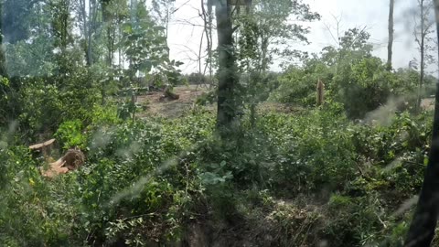 Yonaka Bulldozing: Ep 21 Dirt-man, Woodman Logging Adventure part 2