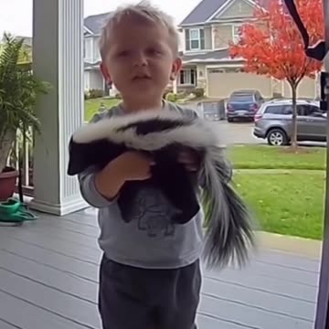 I know this is AI but still funny AF!