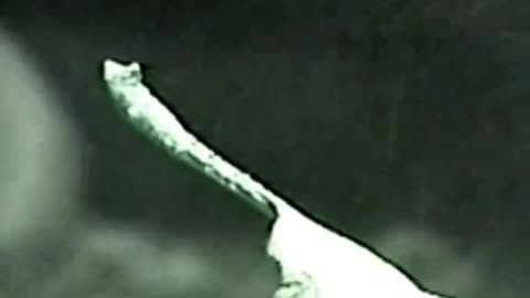 😱👻 The Scariest Jinn Encounter Ever! | TheHauntingHour