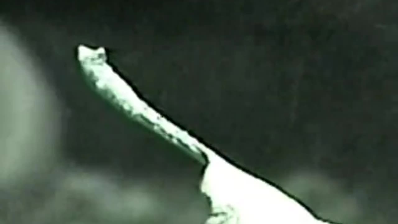 😱👻 The Scariest Jinn Encounter Ever! | TheHauntingHour