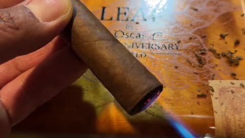 10th Anniversary Criollo (Leaf By Oscar) 6x52 Toro #CigarOfTheDay #Shorts #Short #Review