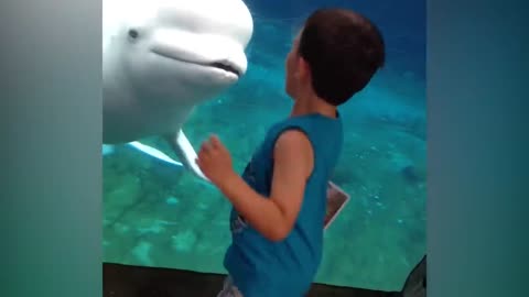 Funny 🤣Kids at The Aquarium animals Video Kids video