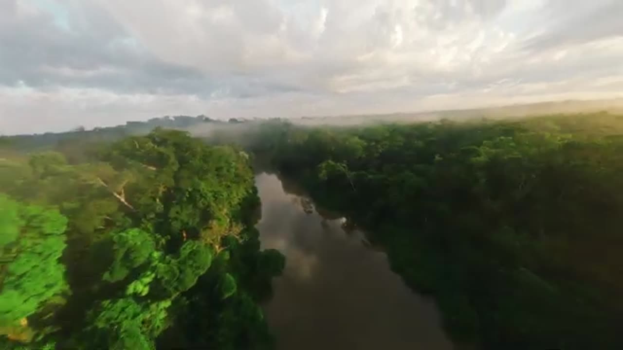 Sunrise drone flight deep in the Amazon Rainforest | Ecuador FPV