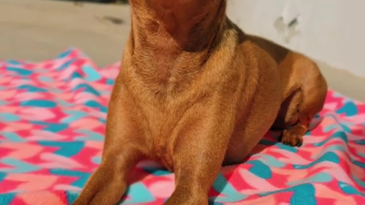 Look how relaxed he is