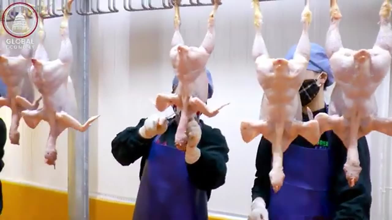 Global Buyers DUMP U.S. Chicken — 94% Market Wiped Out Instantly!