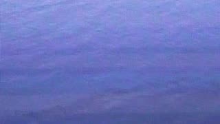 Capristan Swimwear | Vertical Video | Miami Swim Week 2024