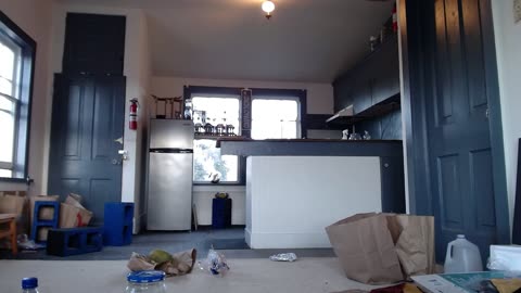 Lev &Virginia???????? Spider Pairing: Audax (Bold) Jumping Spider. Christian Spider LIVE