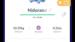 Pokémon GO-Evolving Shiny Nidoran♂