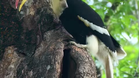 Female Locked for six month