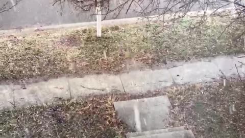 A Snowy Day Feb 13 2024