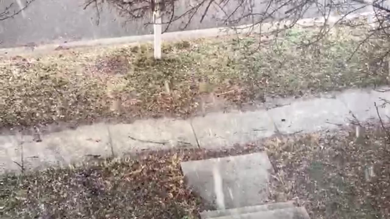 A Snowy Day Feb 13 2024