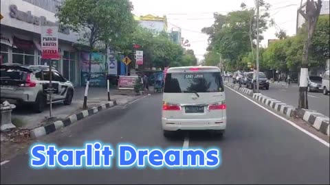 Starlit Dreams