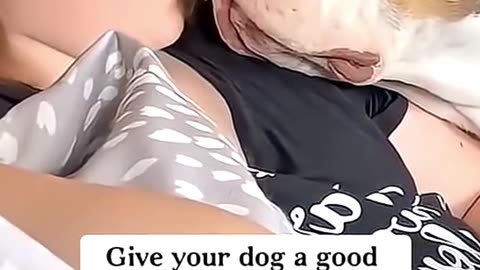 A Best Friend Teach You Love 😍🤗 #shortsreel #petlovers #love