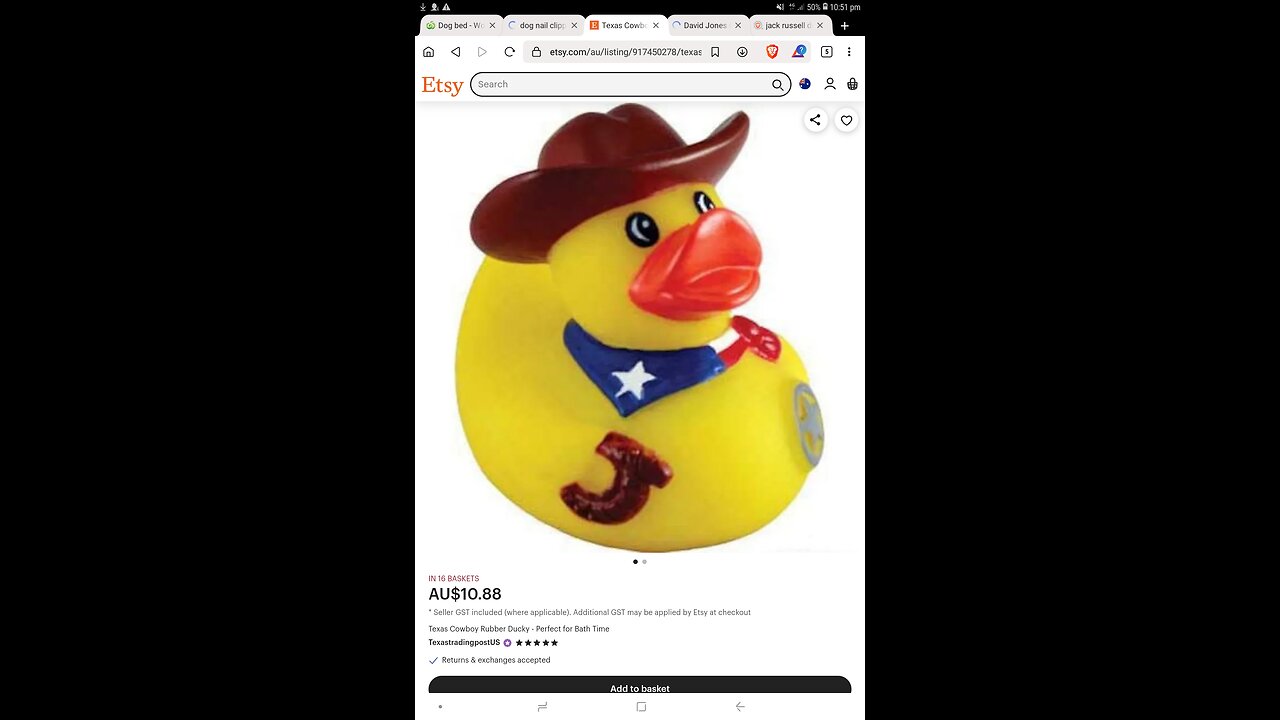 Cowboy Duck