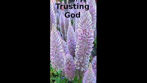 Charlotte 💗 287 ~ Trusting God