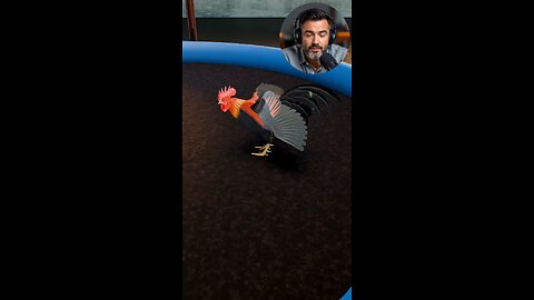 Death due to chicken