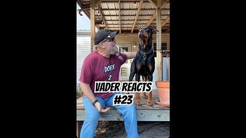 Doberman Reacts #23: The Magician Joke Got Nothing But Bird Sounds 🐦🤣🐾