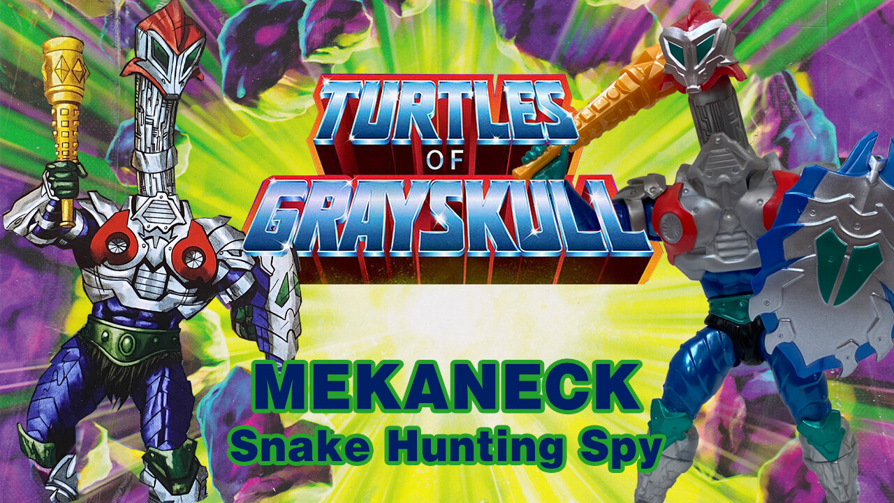 Mekaneck - Turtles of Grayskull - Unboxing & Review
