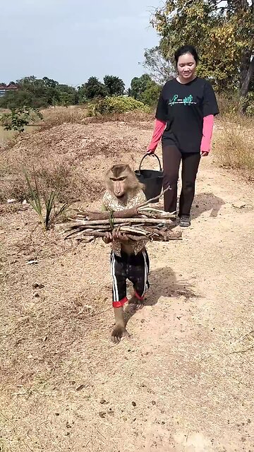 Lovely animal SokYaa, OG, Pao Mom Are Famous Around The World #shorts #anime #trend #edit