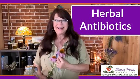 Herbal Antibiotics