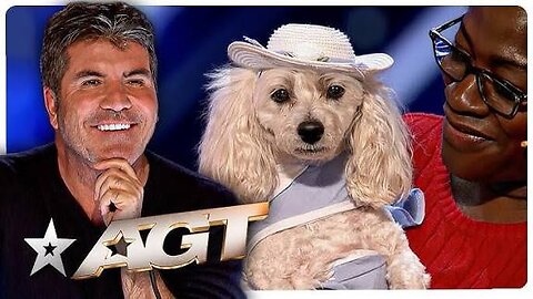The World's Smartest Dog?! | America's Got Talent