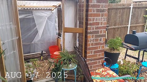 52 Sundays! Almost Harvest Time!