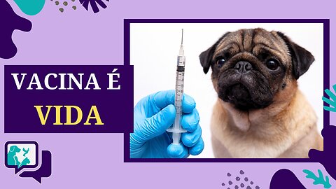 Vacinação em Cães: Como Proteger Seu Amigo Desde Filhote