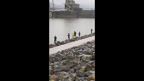 White Bass Are Running In NLR