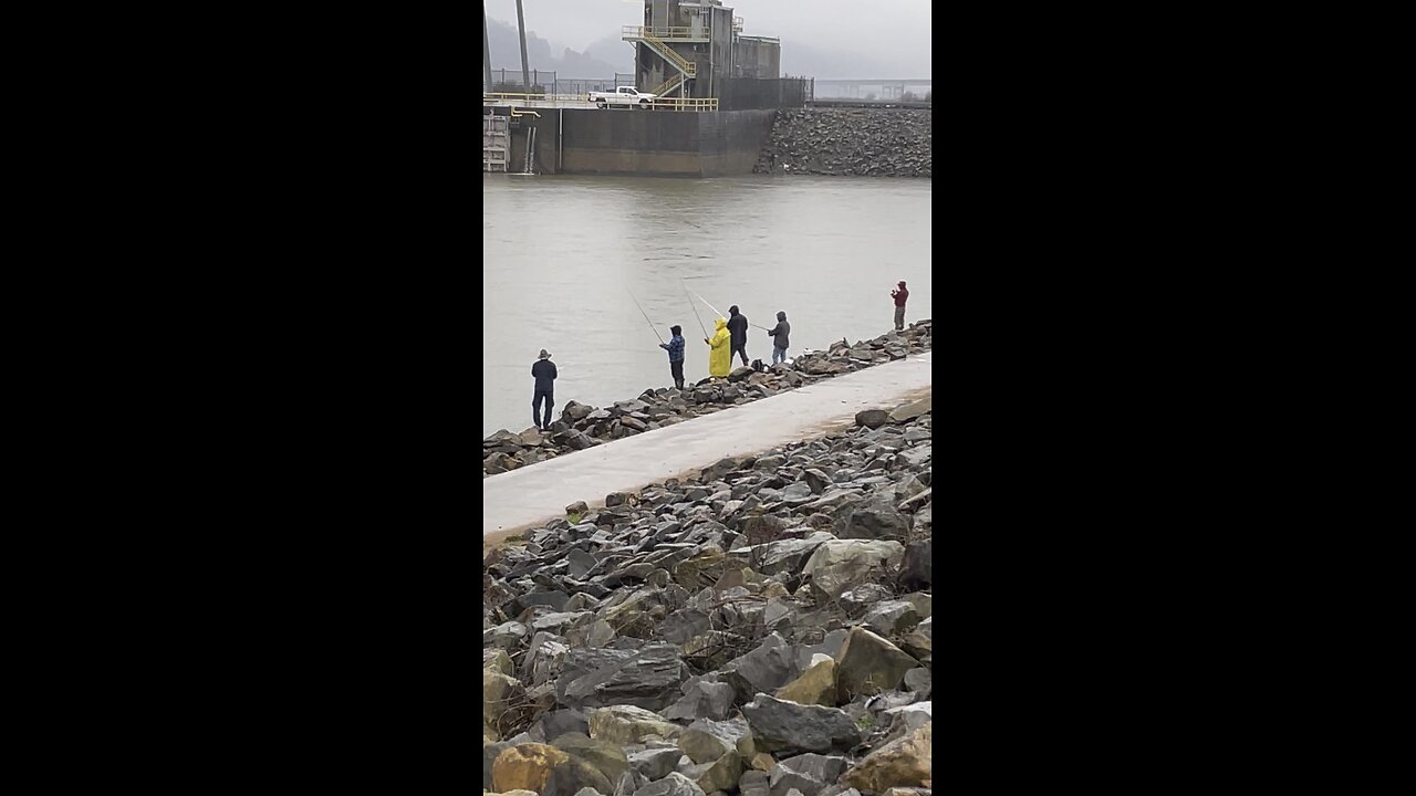 White Bass Are Running In NLR