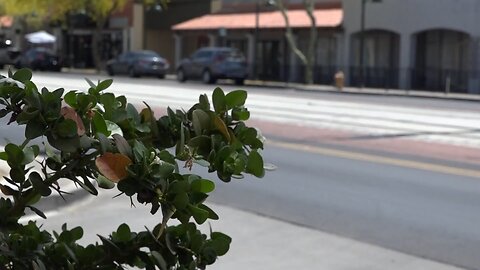 Republica Empanada anchoring growth in Mesa