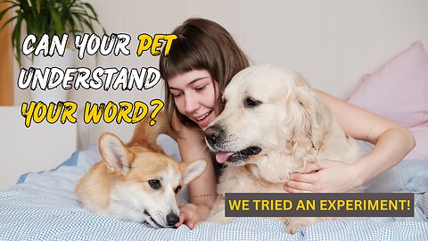 Can Your Pet Understand Your Words? We Tried an Experiment!