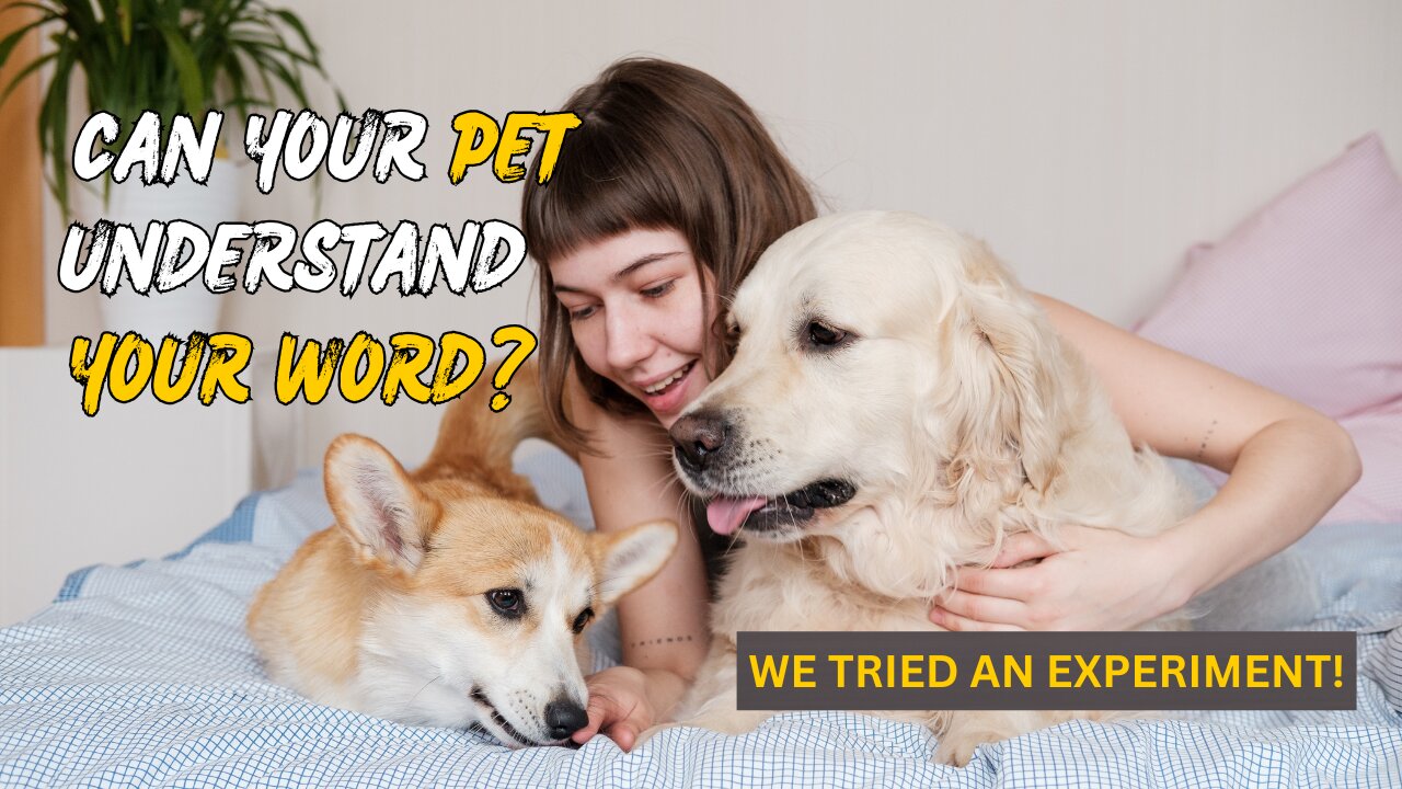 Can Your Pet Understand Your Words? We Tried an Experiment!