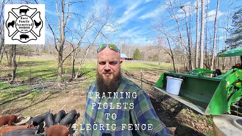 How to Train Piglets to Electric Fence in 7 Minutes