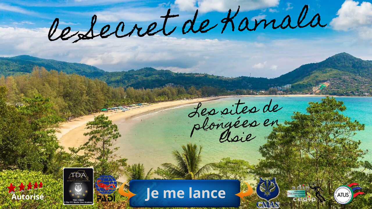 🐠 Plongez dans le Secret de Kamala : Petit mais Magnifique