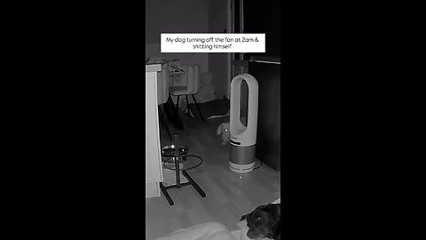 I came down in the morning wondering why the fan wasn’t on… maybe I’d forgot to turn it on, maybe
