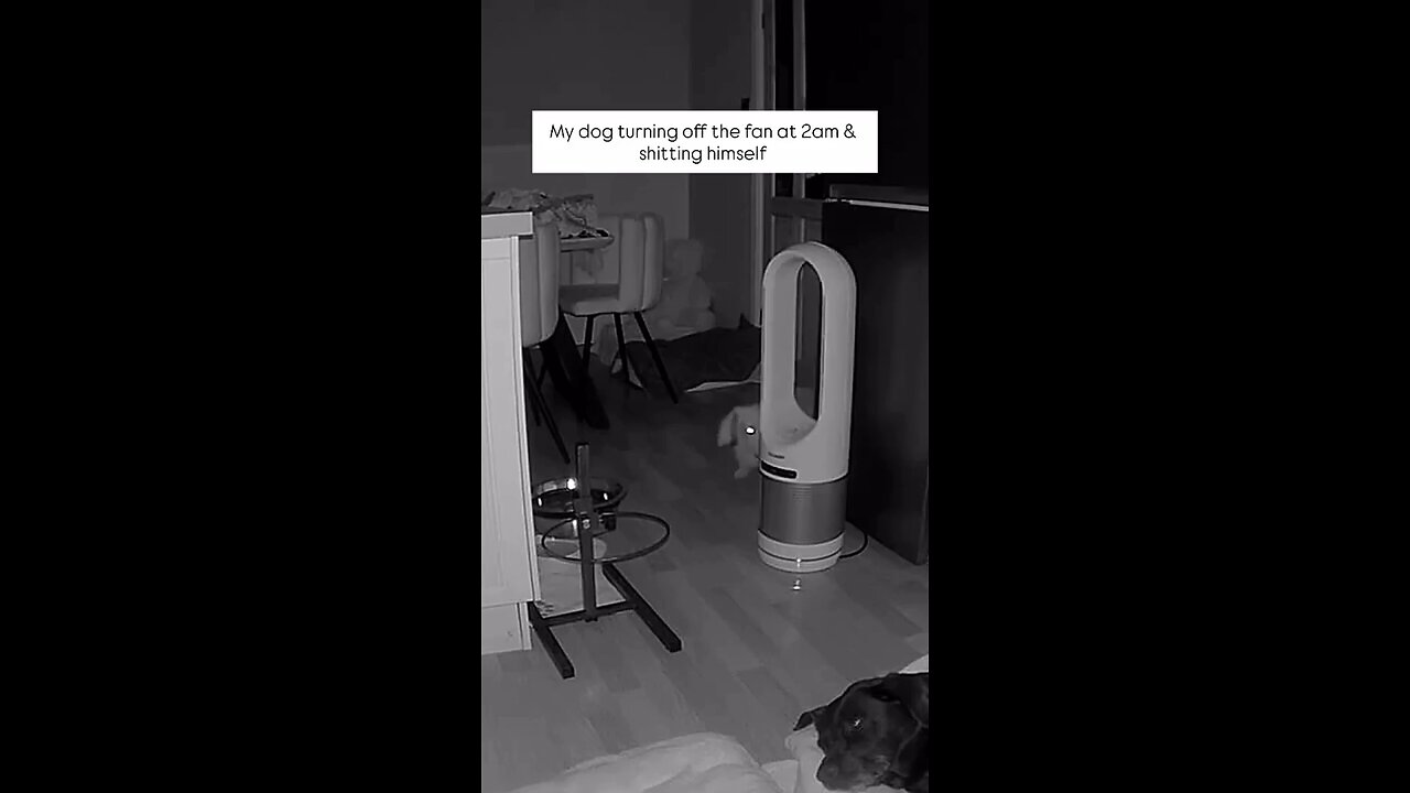 I came down in the morning wondering why the fan wasn’t on… maybe I’d forgot to turn it on, maybe