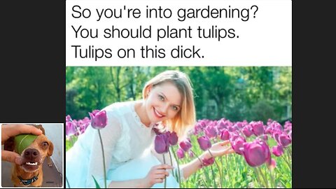Memes That Will 99.0359% Make You Laugh. (e583)