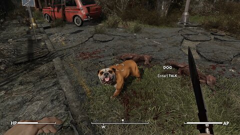 I got a new pet dog called Churchill (Fallout London)