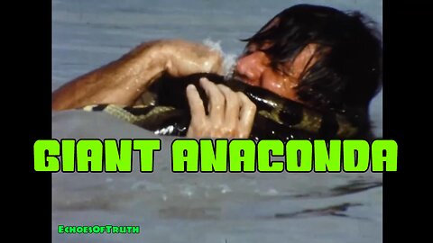 Two Men Fight A Giant Anaconda Snake!
